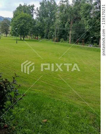 Green natural meadow with grass and beautiful sky 119170231