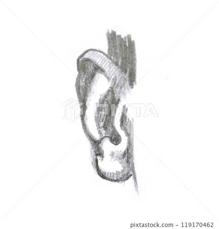 Hand illustration ear. isolated on white background 119170462