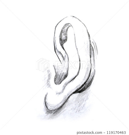 Hand illustration ear. isolated on white background Hand illustration ear. isolated on white background 119170463