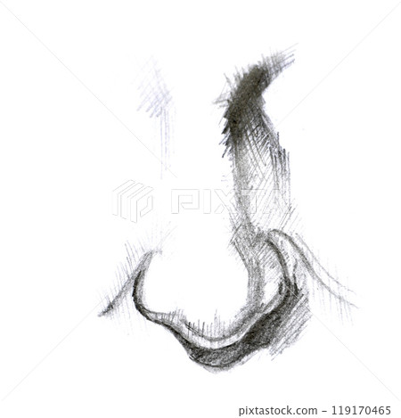 Human biology, organ anatomy illustration. Human biology, organ anatomy illustration. 119170465