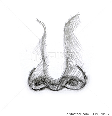 Human biology, organ anatomy illustration. Human biology, organ anatomy illustration. 119170467