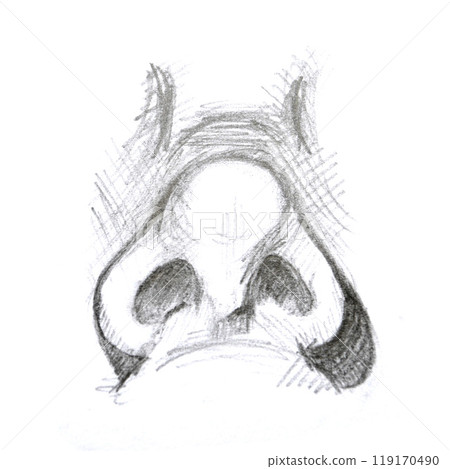 Human biology, organ anatomy illustration. Human biology, organ anatomy illustration. 119170490