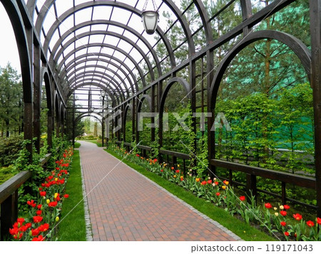 Landscape design. Park architecture. Summer landscape. Landscape design. Park architecture. Summer landscape. 119171043