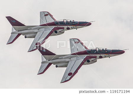 Red dolphin flying in the sky 119171194