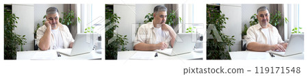 Freelancer Working from Home at Computer Freelancer Working from Home at Computer 119171548
