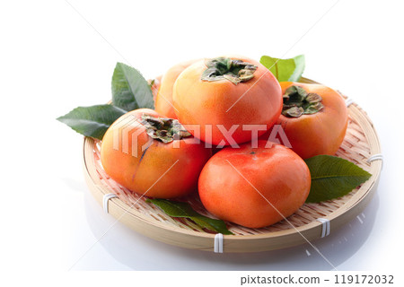 秋味柿（白底） 119172032