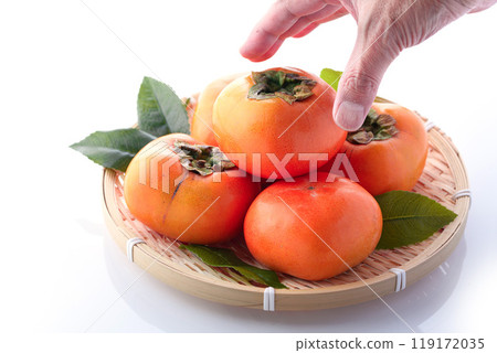 秋味柿（白底） 119172035