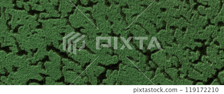 Dark green and black background from upholstery textile material with wave pattern, macro. Texture olive felt fabric Dark green and black background from upholstery textile material with wave pattern, macro. Texture olive felt fabric 119172210