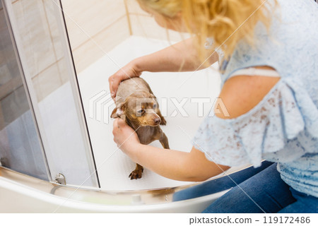Woman showering her dog Woman showering her dog 119172486