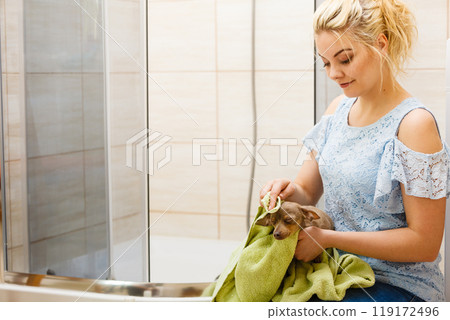 Woman drying pinscher after shower Woman drying pinscher after shower 119172496