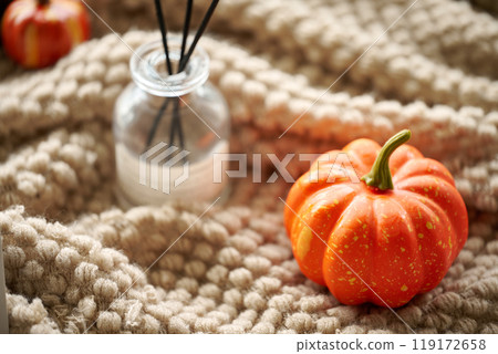 Autumn perfume machine, pumpkins decorated with pillows, warm home decor Autumn perfume machine, pumpkins decorated with pillows, warm home decor 119172658