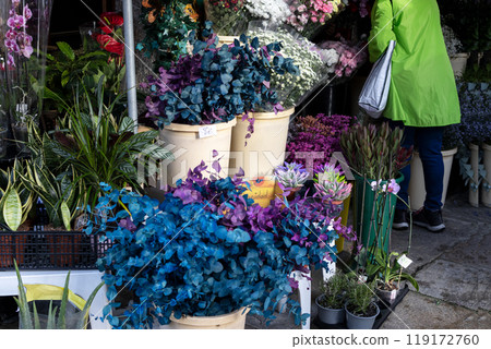 Woman choosing flowers at farmers market in spain 119172760