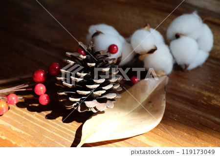 Autumn/Winter image: Pine cones Autumn/Winter image: Pine cones 119173049