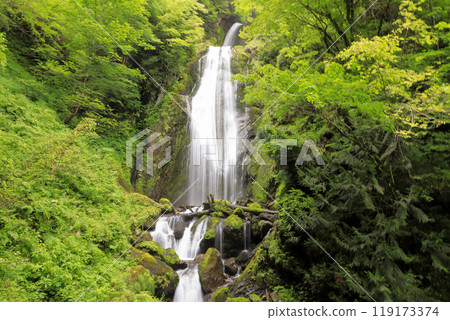 Lake Tazawa Prefectural Natural Park: Kaikei Falls Lake Tazawa Prefectural Natural Park: Kaikei Falls 119173374