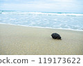 海邊的松果 119173622