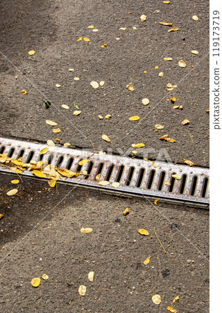 A drain on the side of a road is covered with leaves 119173719