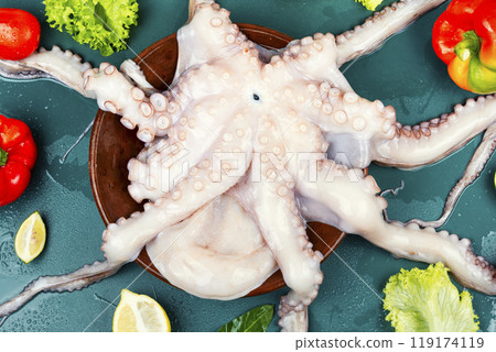 Common octopus or squid frozen. 119174119