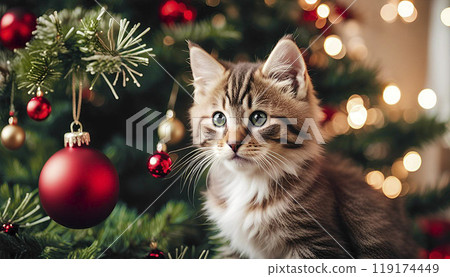 Tabby kitten playing with red Christmas ornament on decorated tree Festive mood and Christmas spirit 119174449