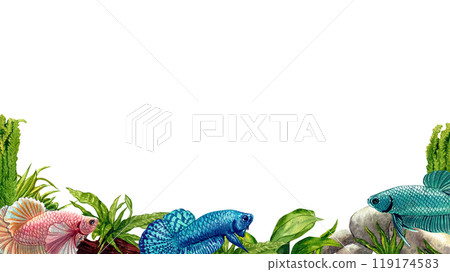 blue betta siamese wild bettas horizontal frame watercolor painting hand-drawn illustration blue betta siamese wild bettas horizontal frame watercolor painting hand-drawn illustration 119174583