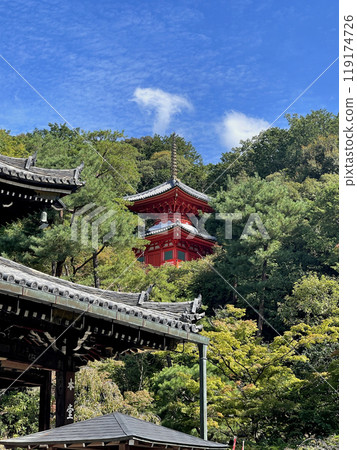 京都東山今熊野觀音寺醫聖堂 119174726