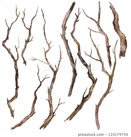 Watercolor brown defoliated tree branches, Rustic or Boho Wedding isolated illustration 119174734