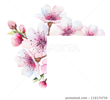 Frame with watercolor pink cherry flowers and green leaves, wedding sakura isolated illustration 119174739