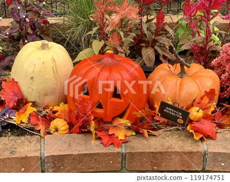 Three kinds of pumpkins and jack-o'-lanterns lined up in a brick flower bed - an autumn Halloween display Three kinds of pumpkins and jack-o'-lanterns lined up in a brick flower bed - an autumn Halloween display 119174751