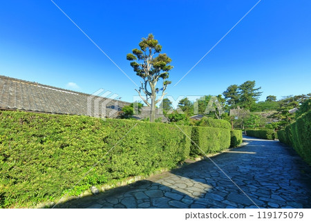 [三重縣]松阪公園城守所（殿町公園）的晴天 119175079