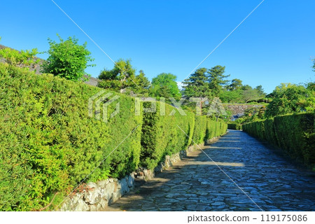 [三重縣]松阪公園城守所（殿町公園）的晴天 119175086