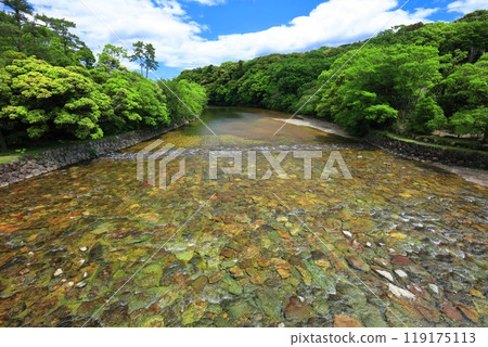 [Mie Prefecture] Ise Shrine's Isuzu River on a clear day 119175113