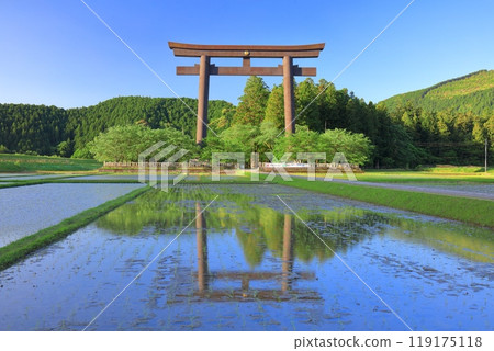 [Wakayama Prefecture] The great torii gate of Oyunohara on a clear day (Kumano Hongu Taisha Shrine) 119175118
