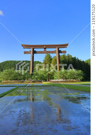 [Wakayama Prefecture] The great torii gate of Oyunohara on a clear day (Kumano Hongu Taisha Shrine) 119175120