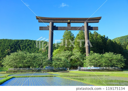[Wakayama Prefecture] The great torii gate of Oyunohara on a clear day (Kumano Hongu Taisha Shrine) 119175134
