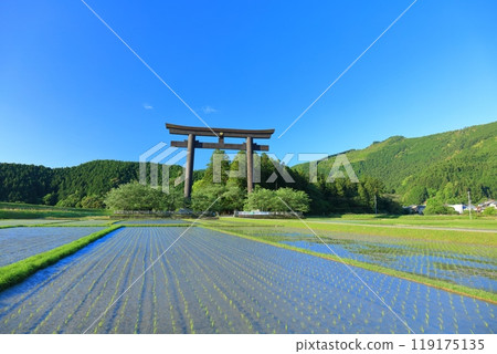 [Wakayama Prefecture] The great torii gate of Oyunohara on a clear day (Kumano Hongu Taisha Shrine) 119175135