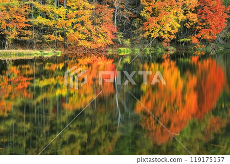 [Nagano Prefecture] Symmetrical autumn leaves at Mishaka Pond 119175157