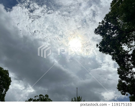 Powerful sunlight shining through the clouds - a dramatic skyscape that evokes hope 119175183