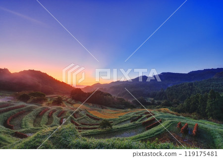 大山千枚田黎明有霧 大山千枚田黎明有霧 119175481