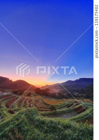 大山千枚田黎明有霧 大山千枚田黎明有霧 119175482