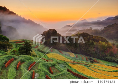The misty Oyama Senmaida rice fields after the harvest The misty Oyama Senmaida rice fields after the harvest 119175483