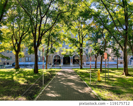 北海道大學農學部主樓 2024 年 9 月 119175712