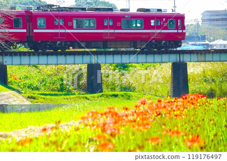 紅蜘蛛百合與紅色列車(名鐵列車)的合作 紅蜘蛛百合與紅色列車(名鐵列車)的合作 119176497