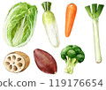 Winter vegetables 119176654