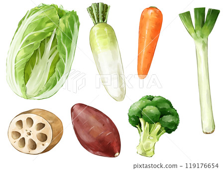 Winter vegetables 119176654