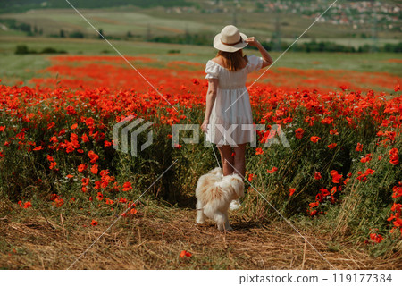 Field of poppies woman dog. Happy woman in a white dress and hat stand with her back through a blooming field of poppy with a white dog. Field of blooming poppies. Field of poppies woman dog. Happy woman in a white dress and hat stand with her back through a blooming field of poppy with a white dog. Field of blooming poppies. 119177384