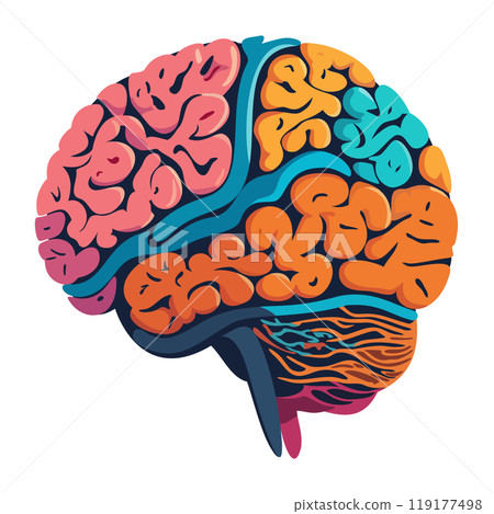 Human brain. Bright vector illustration isolated on white background Human brain. Bright vector illustration isolated on white background 119177498