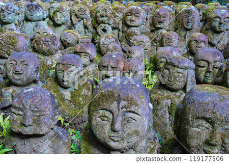 京都市右京區愛宕念佛寺的一尊表情豐富的羅漢 京都市右京區愛宕念佛寺的一尊表情豐富的羅漢 119177506
