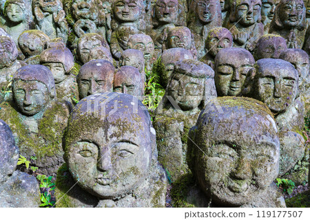 The expressive arhat at Otagi Nenbutsu-ji Temple in Ukyo Ward, Kyoto City 119177507