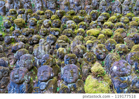 The expressive arhat at Otagi Nenbutsu-ji Temple in Ukyo Ward, Kyoto City The expressive arhat at Otagi Nenbutsu-ji Temple in Ukyo Ward, Kyoto City 119177518