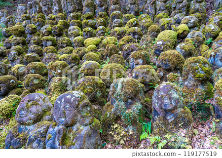 The expressive arhat at Otagi Nenbutsu-ji Temple in Ukyo Ward, Kyoto City The expressive arhat at Otagi Nenbutsu-ji Temple in Ukyo Ward, Kyoto City 119177519