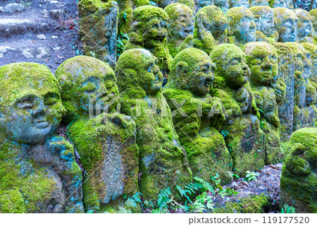 京都市右京區愛宕念佛寺的一尊表情豐富的羅漢 119177520